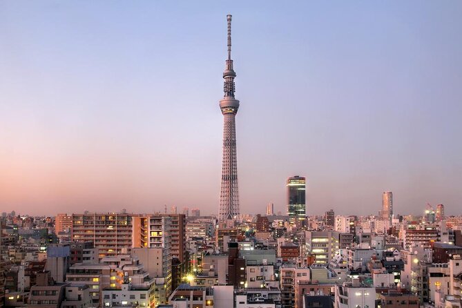 Tokyo Private Custom Tour With Water Bus Ride - Just The Basics