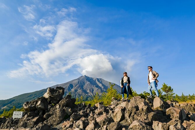 Kagoshima Custom Tour With Private Car and Driver - Cancellation Policy