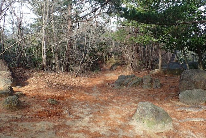 Exercise at Seto Inland Sea National Park, 1 Day Hiking on Mt. Rokko - Experience Expectations and Guidelines