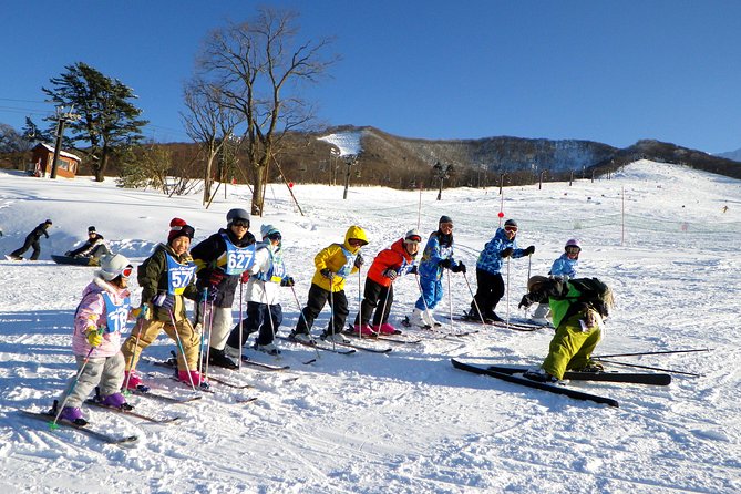 Private Ski Lesson for Family or Group(Transport Included ) - Experience Details