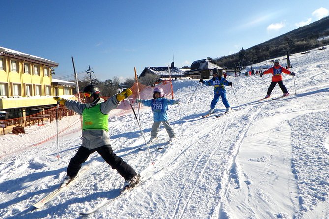 Private Ski Lesson for Family or Group(Transport Included ) - Reviews and Ratings