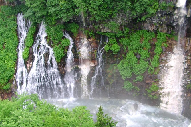 Private Tour: Full-Day Walking Tour With Professional Local Guide in Yakushima Island - Meeting and Pickup Points Information