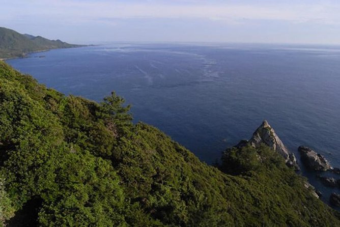 Private Tour: Full-Day Walking Tour With Professional Local Guide in Yakushima Island - Expert Local Guide Information