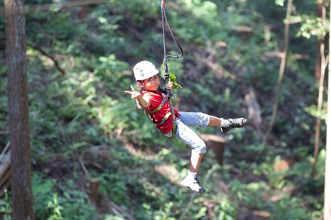 Hokkaido Wild Experiences: Forest Adventure and Day Camp - Cancellation Policy Details