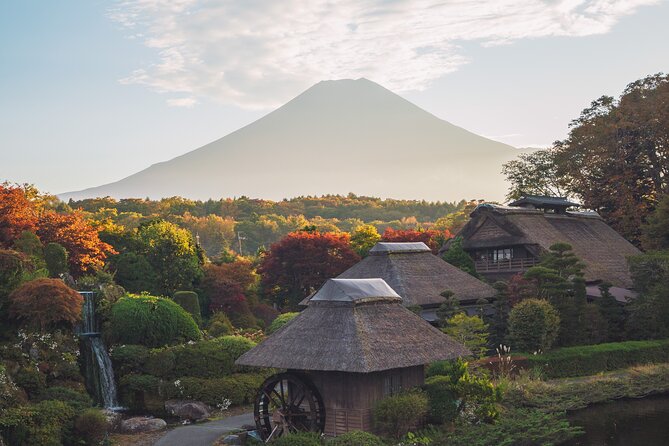 Mt Fuji :1-Day Private Tour With English-Speaking Driver - Traveler Experience