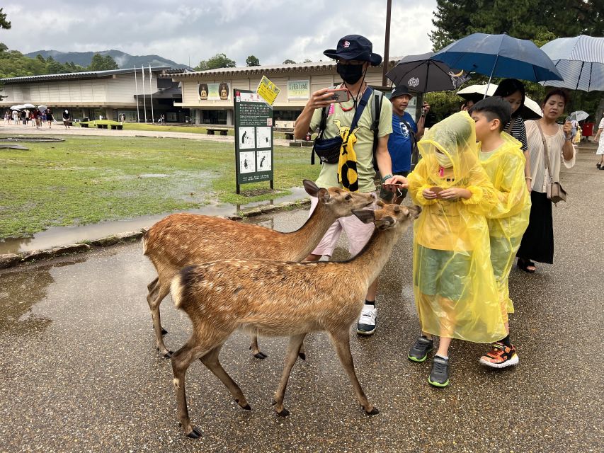 From Osaka/Kyoto: Kyoto & Nara Bus Tour W/ Kinkakuji Ticket - Booking Information