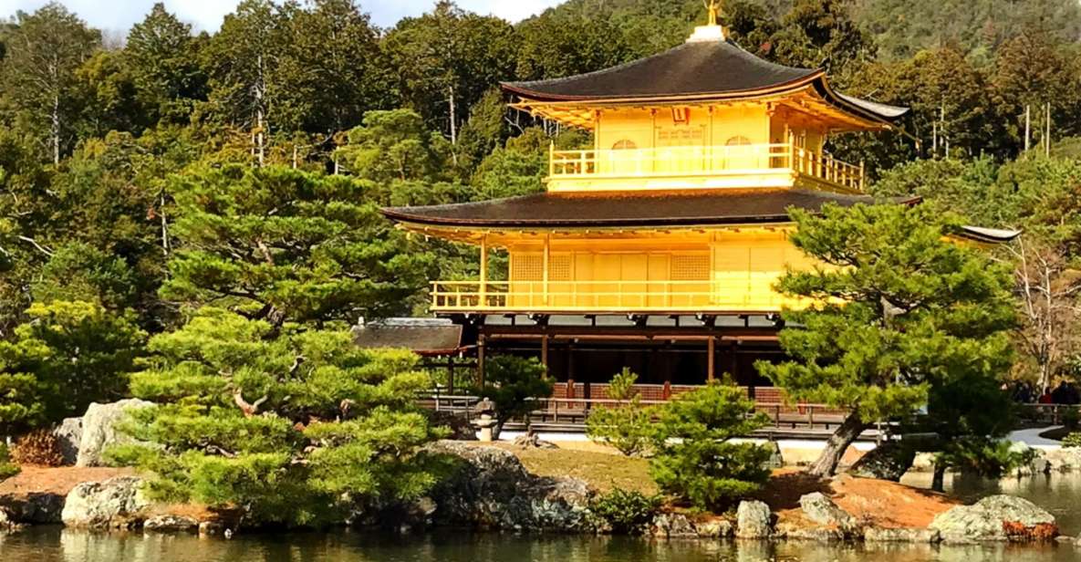 From Osaka/Kyoto: Kyoto & Nara Bus Tour W/ Kinkakuji Ticket - Customer Reviews