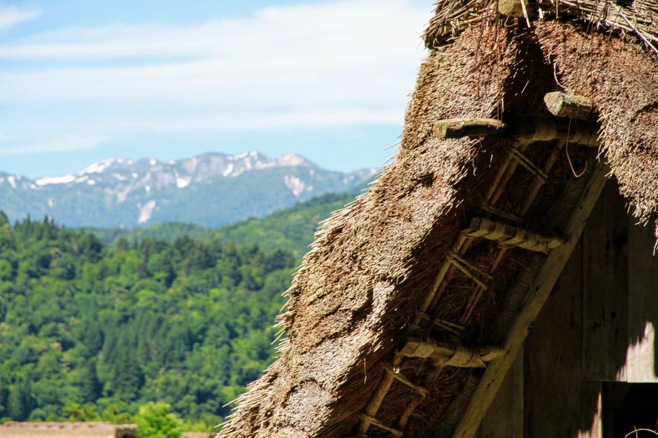 Kanazawa to Shirakawago: Half-Day Tour - Just The Basics