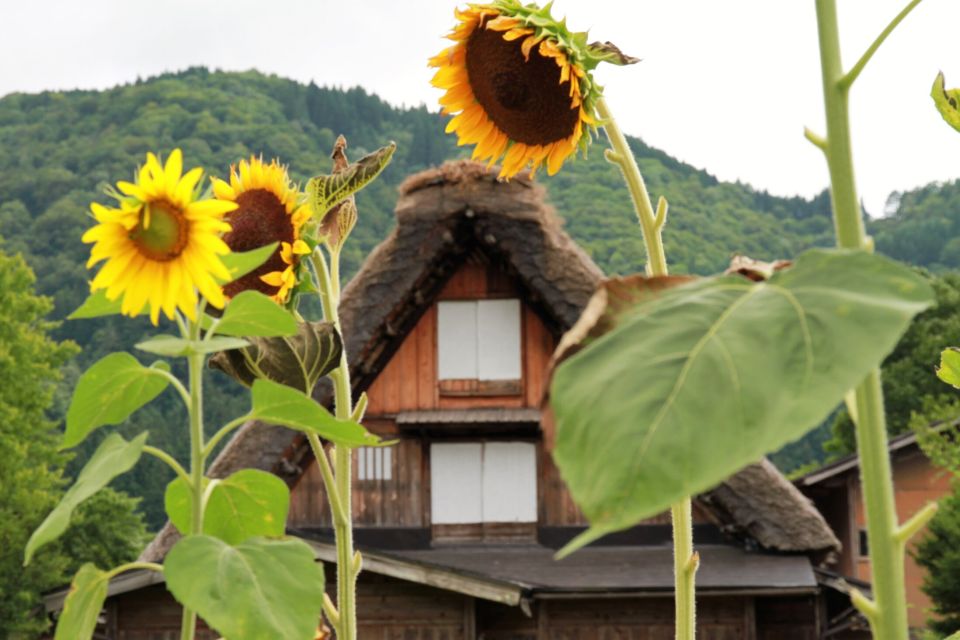 Kanazawa to Shirakawago: Half-Day Tour - Tour Experience