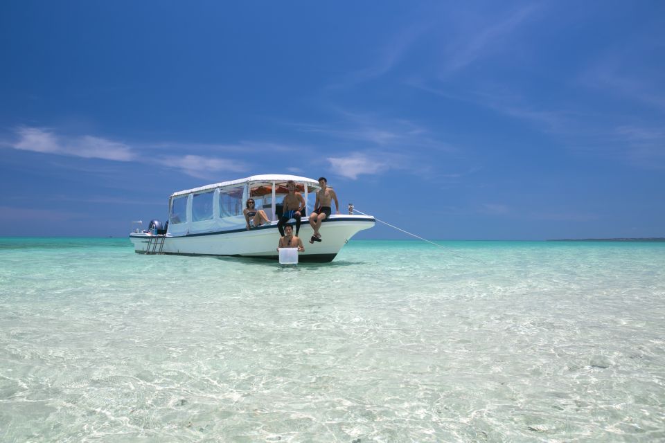 Ishigaki Island: Guided Tour to Hamajima With Snorkeling - Experience Highlights