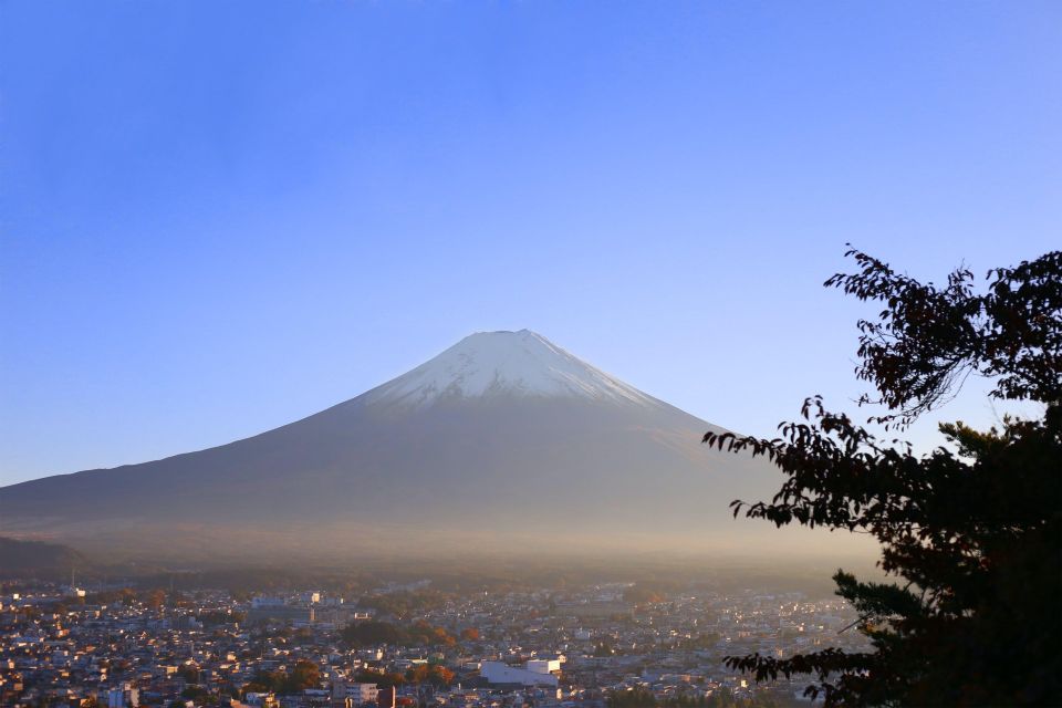 Mount Fuji and Hakone Full Day Private Tour - Local Expert Guides