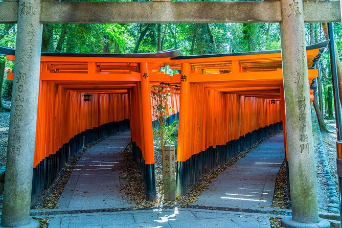 Full-Day Private Bamboo Grove and Golden Temple in Kyoto Tour - Just The Basics