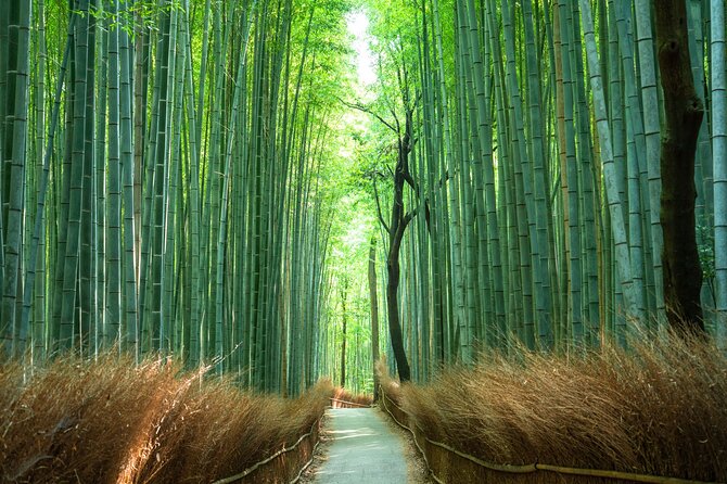 Full-Day Private Bamboo Grove and Golden Temple in Kyoto Tour - Frequently Asked Questions