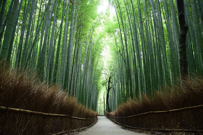 Full-Day Private Bamboo Grove and Golden Temple in Kyoto Tour - Additional Information