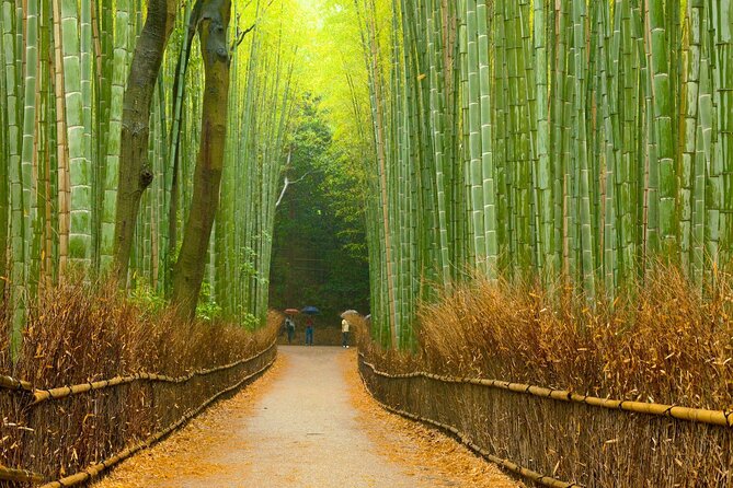 Full-Day Private Bamboo Grove and Golden Temple in Kyoto Tour - Booking Information