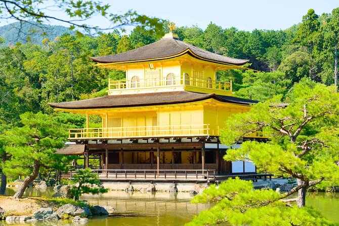 Full-Day Private Bamboo Grove and Golden Temple in Kyoto Tour - Tour Logistics