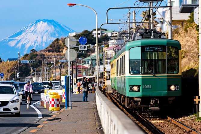 Kamakura or Tokyo Castamized Private Tour -English Speaking Guide - Specific Tour Guide Details