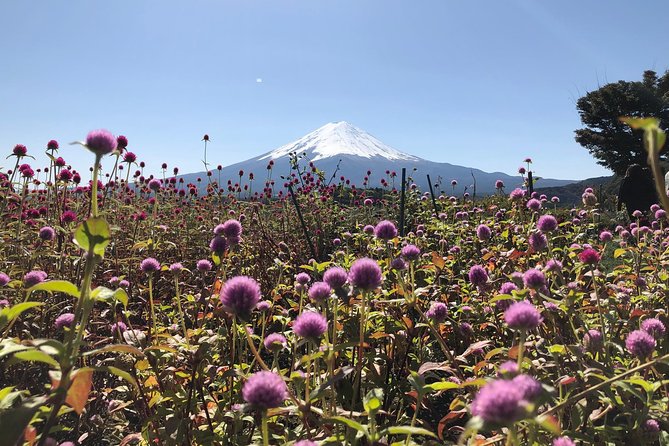 Mt Fuji Day Tour With Kawaguchiko Lake and Fifth Station - Lunch Options