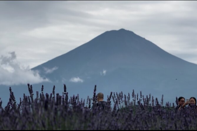 Private Sedan One-Day Mount Fuji Tour - Emphasis on Comfort and Safety