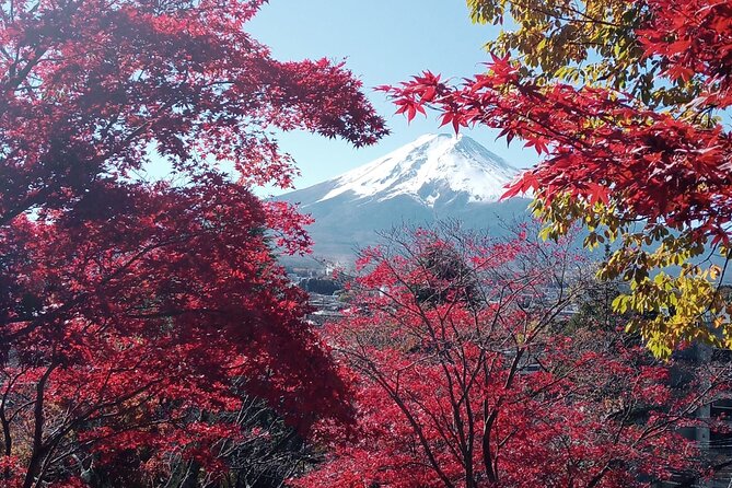 Private Sedan One-Day Mount Fuji Tour - Tour Information and Pricing