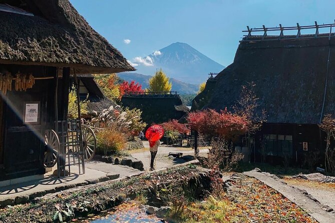 Private Sedan One-Day Mount Fuji Tour - Similar Tour Options Available