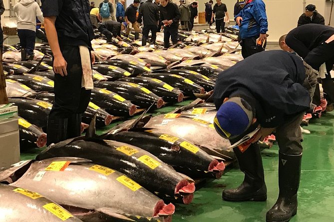 Tokyo Toyosu Fish Market Auction With Tsukiji Tuna Breakfast (Mar ) - Inclusions