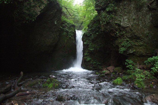 Relax and Refresh in Karuizawa Forest! Shinanoji Down Trekking Around Two People - Shinanoji Down Trekking Itinerary Details