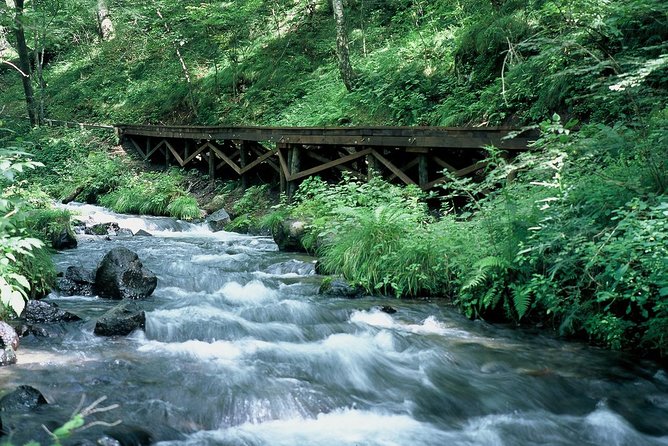 Relax and Refresh in Karuizawa Forest! Shinanoji Down Trekking Around Two People - Tips for a Relaxing Karuizawa Getaway