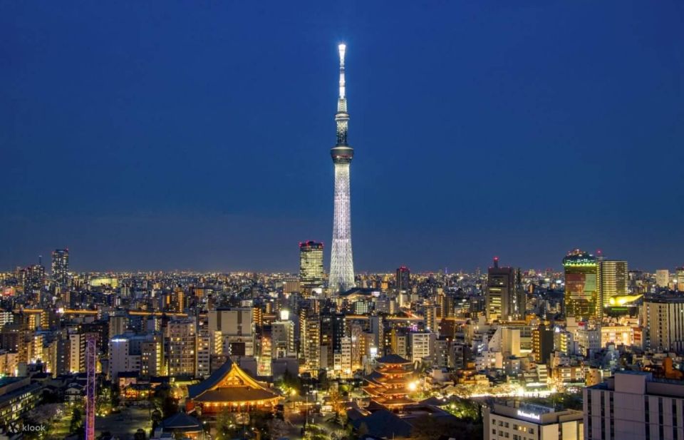 Tokyo Private Sightseeing Customized Day Tour by Car and Van - Flexible Itineraries and Booking Process