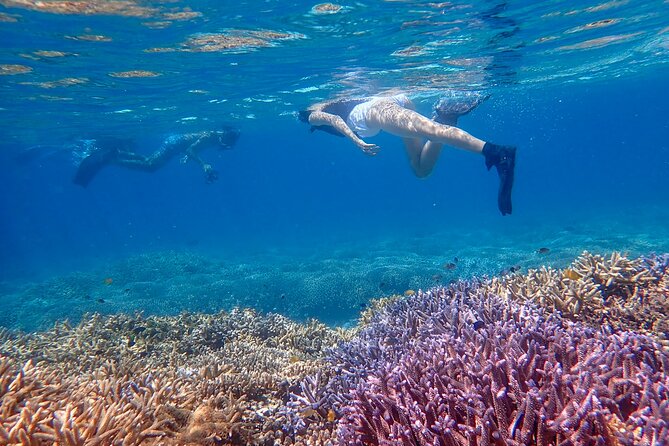 [Ishigaki] Snorkeling Tour at Phantom Island - Health and Safety Information