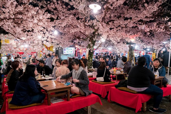 Private & Unique Kyoto Cherry Blossom "Sakura" Experience - Cherry Blossom Viewing Locations