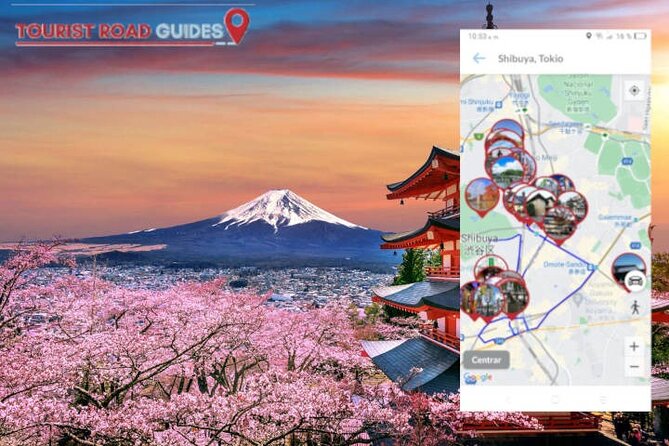 Audio Guide App Japan Tokyo Kyoto Takayama Kanazawa Nikko and Others - Customer Support and Assistance