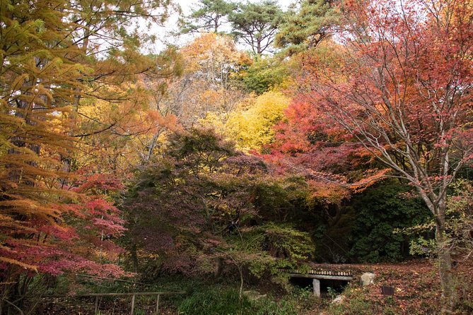 Private Car Day Trip to the Kobe Mountains, Gardens and Hot Springs From Osaka - Model Course Itinerary