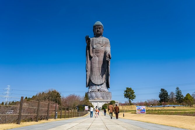 The Tallest Great Buddha Spot Walking Tour - Meeting and Pickup