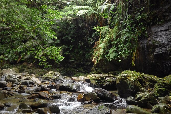 Jungle River Trek: Private Tour in Yanbaru, North Okinawa - Directions