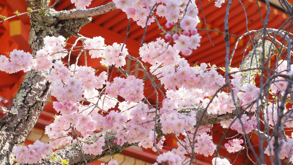 Kyoto: Ninnaji Temple Entry Ticket - Seasonal Highlights