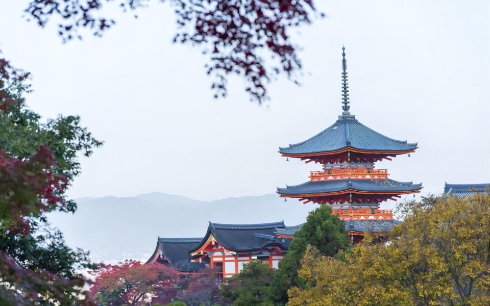 Kyoto: 10-Hour Customizable Private Tour With Hotel Transfer - Just The Basics