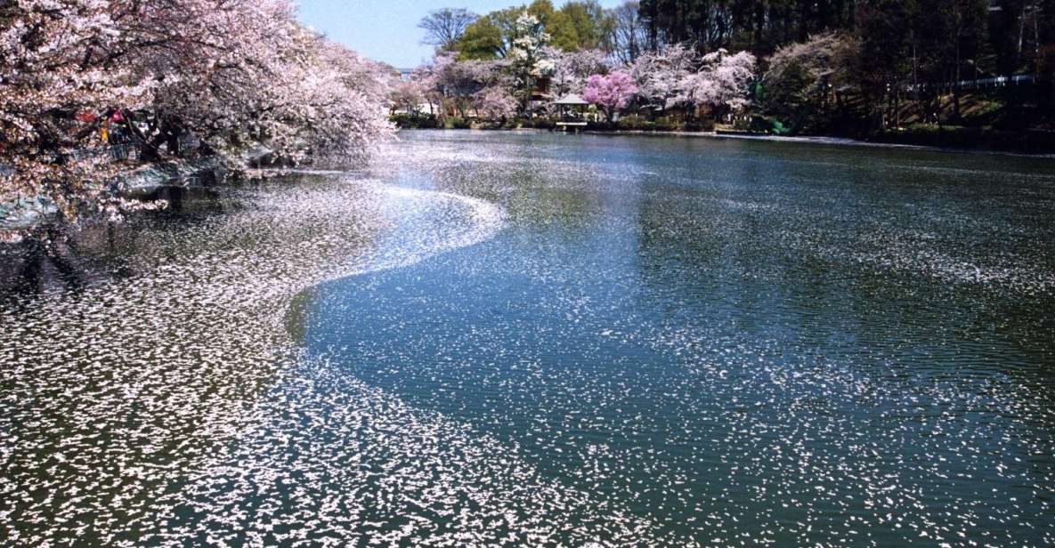 Nagano: 1-Day Snow Monkey & Cherry Blossom Tour in Spring - Just The Basics