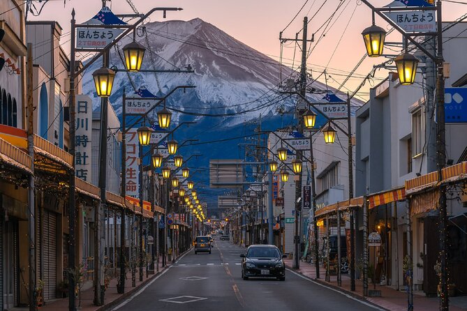 Mount Fuji Private Custom Tour From Tokyo - Customization Options