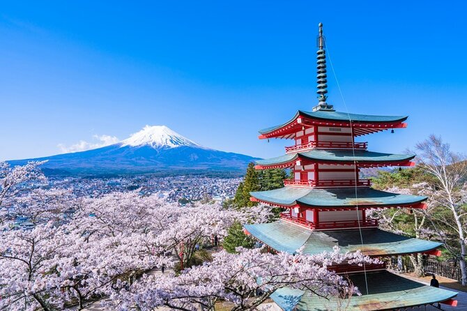 Mount Fuji Private Custom Tour From Tokyo - Cancellation Policy