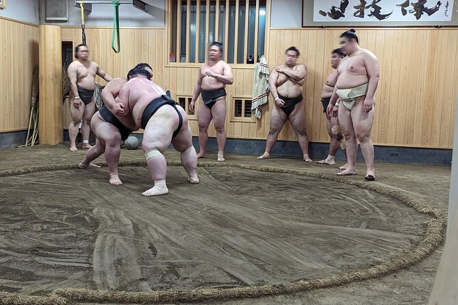 Morning Sumo Practice Viewing in Tokyo - Sumo Practice Highlights