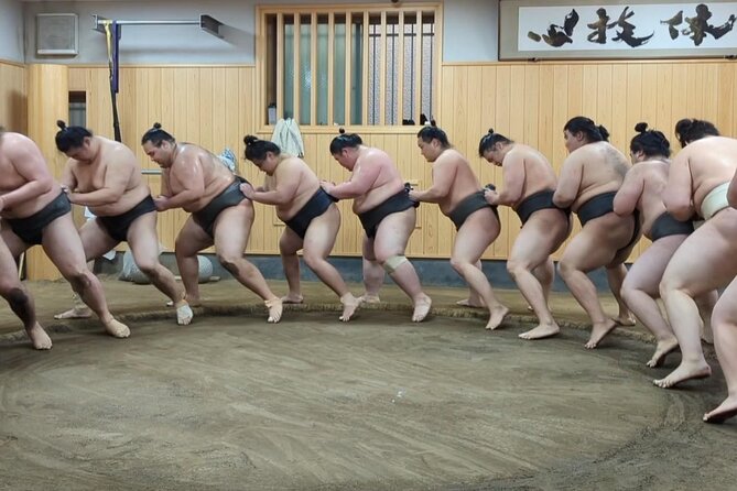 Morning Sumo Practice Viewing in Tokyo - Weather Considerations