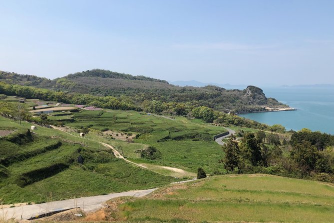 Private Scenic Cycling in Teshima Island Includes Teshima Museum - Just The Basics