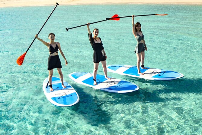 Miyako Two Activities in Half Day SUP and Sea Turtle Snorkeling - Pricing and Inclusions