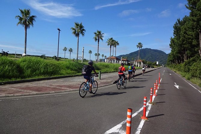 Guided Hybrid Bike Tour in Shizuoka City - Sightseeing Highlights