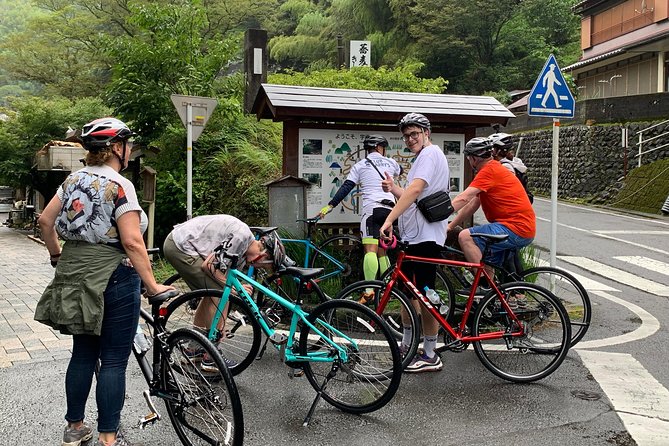 Guided Hybrid Bike Tour in Shizuoka City - Fitness Level