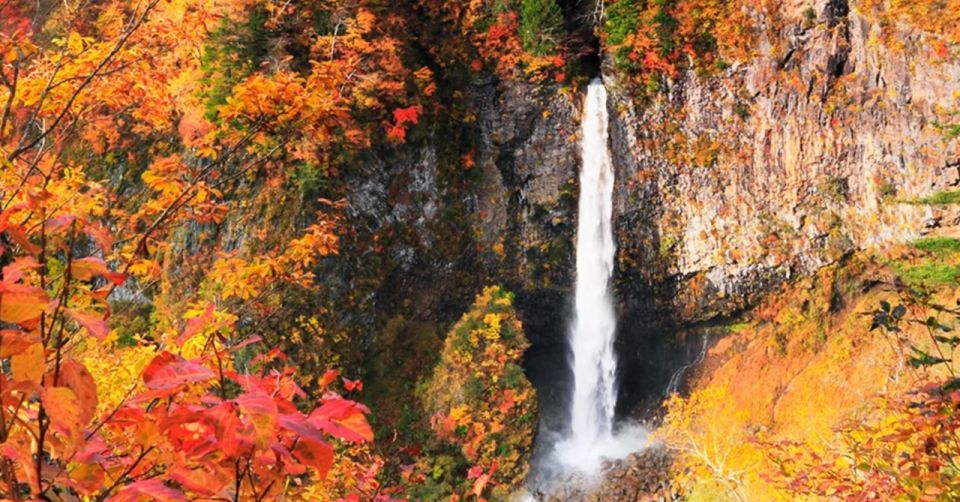 From Tokyo: Nikko UNESCO Shrine and Nature View 1-Day Tour - Payment Options