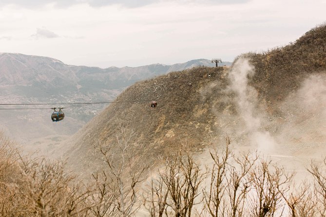 Hakone Private One Day Tour From Tokyo: Mt Fuji, Lake Ashi, Hakone National Park - Important Policies