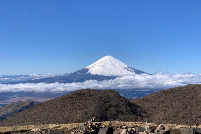 Hakone Private One Day Tour From Tokyo: Mt Fuji, Lake Ashi, Hakone National Park - Customer Reviews