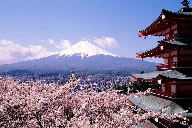 Mount Fuji Private Day Tour With English Speaking Driver - Booking Policies and Cancellation Terms